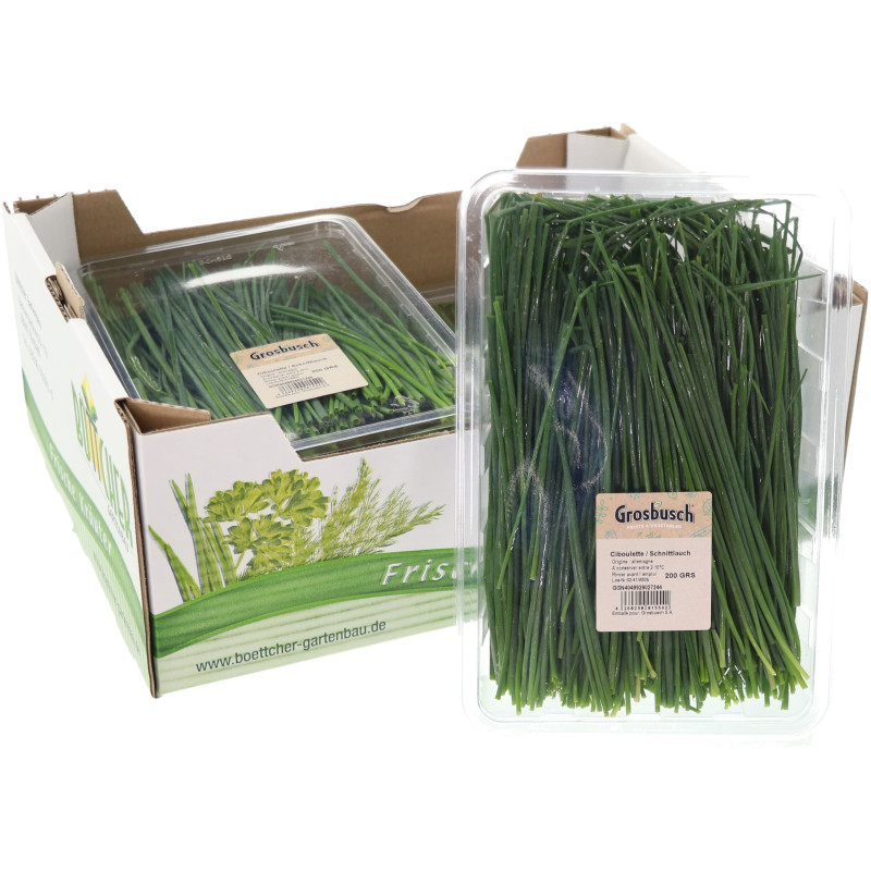 CIBOULETTE GROSBUSCH 4X200G